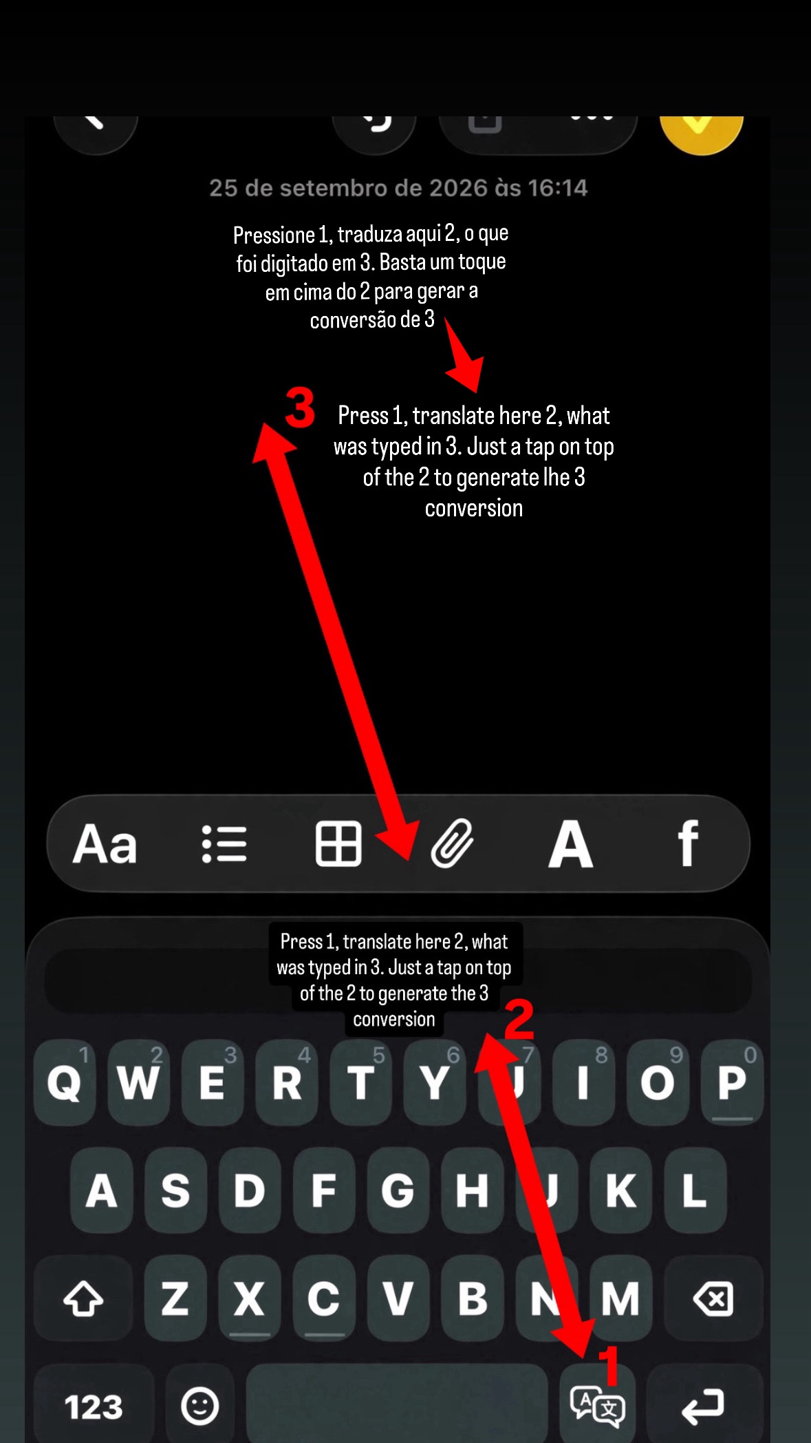 IMG_8522.jpeg